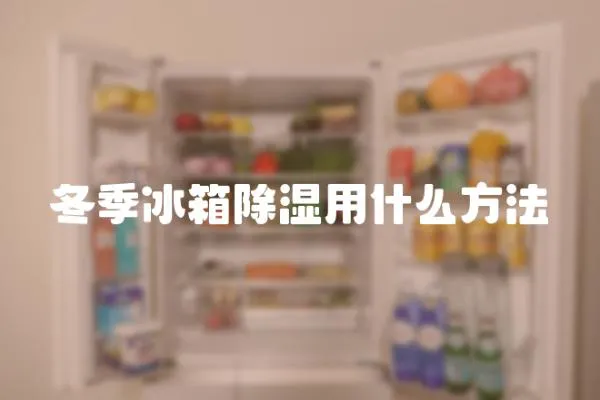 冬季冰箱除濕用什么方法