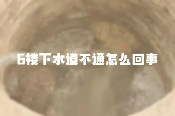 6樓下水道不通怎么回事