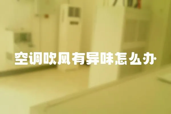 空調(diào)吹風(fēng)有異味怎么辦
