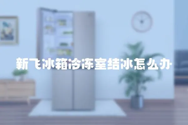 新飛冰箱冷凍室結冰怎么辦