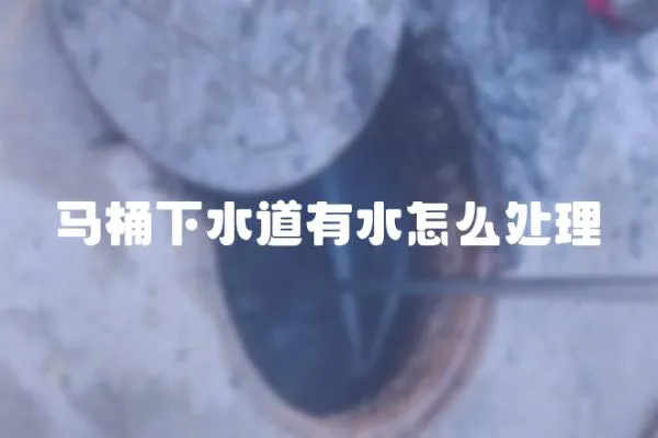 馬桶下水道有水怎么處理