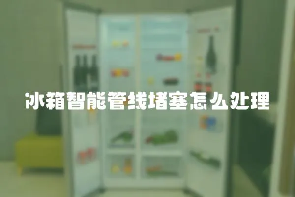 冰箱智能管線堵塞怎么處理