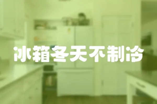 冰箱冬天不制冷