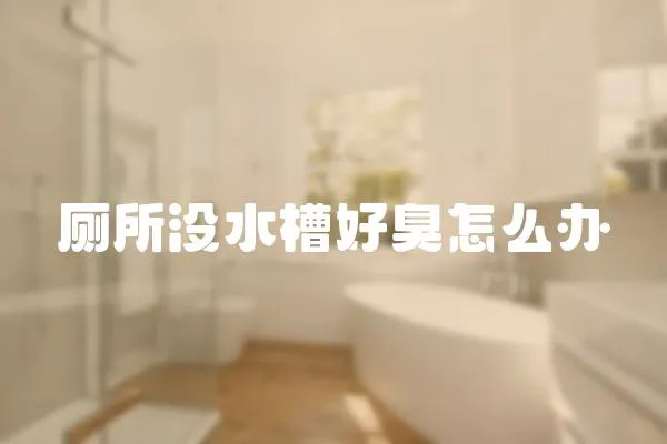 廁所沒水槽好臭怎么辦
