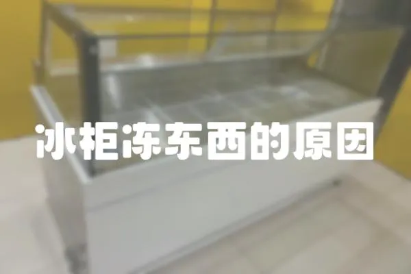 冰柜凍東西的原因