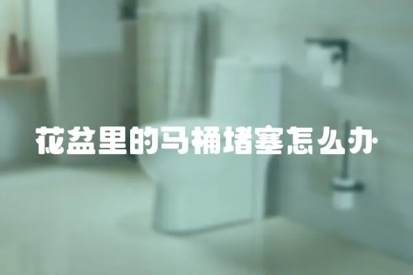花盆里的馬桶堵塞怎么辦