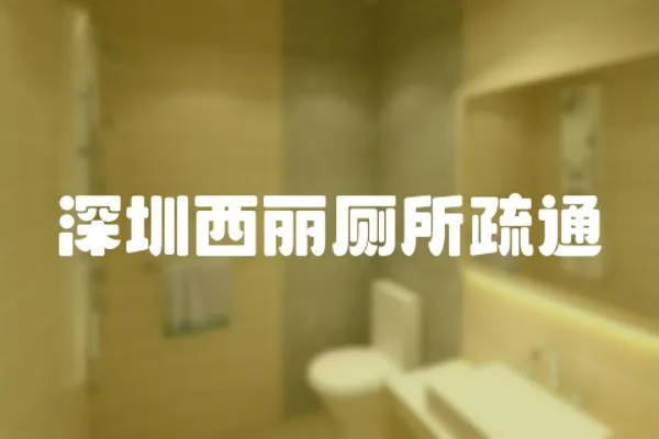 深圳西麗廁所疏通