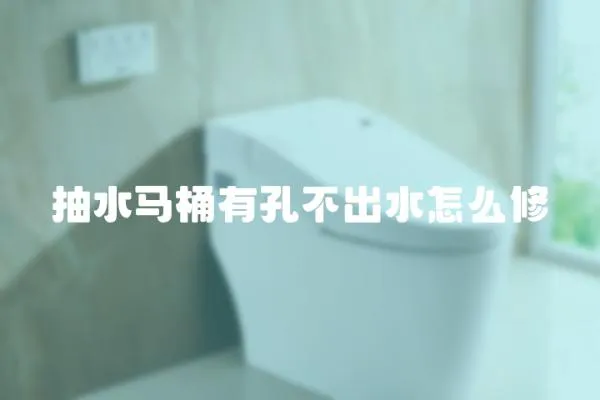 抽水马桶有孔不出水怎么修