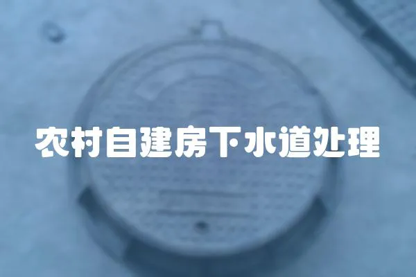 農村自建房下水道處理