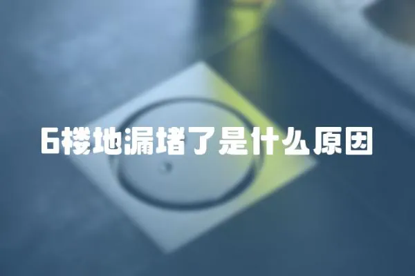 6樓地漏堵了是什么原因