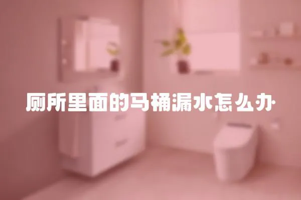 廁所里面的馬桶漏水怎么辦