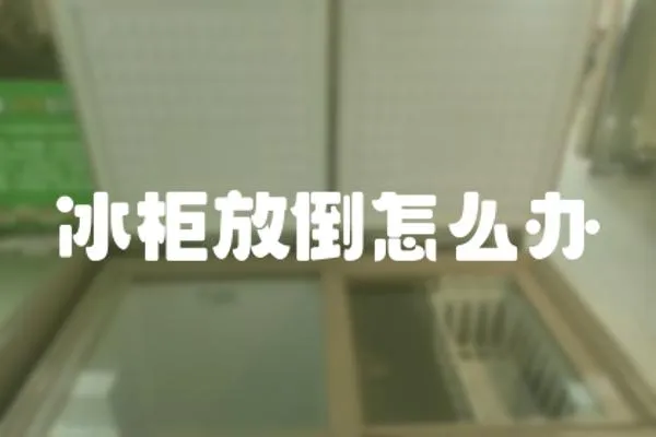冰柜放倒怎么辦
