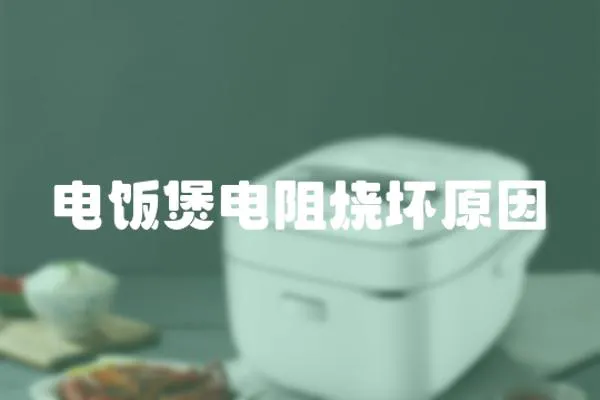 電飯煲電阻燒壞原因