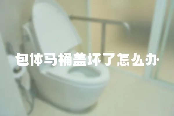 包體馬桶蓋壞了怎么辦