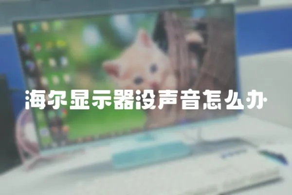 海爾顯示器沒聲音怎么辦