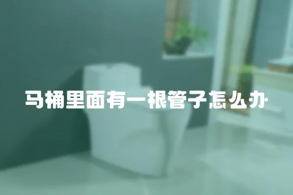 馬桶里面有一根管子怎么辦
