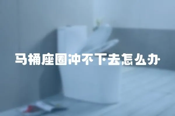 馬桶座圈沖不下去怎么辦