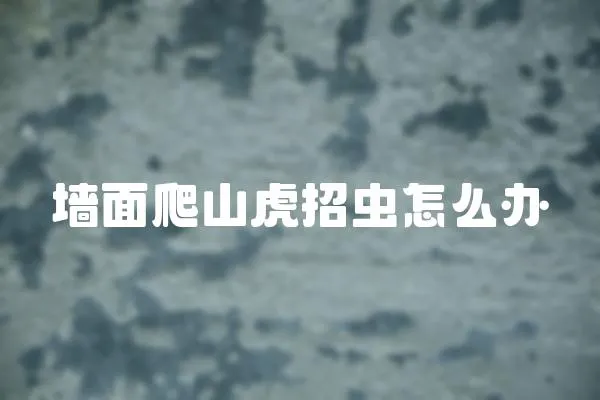 墻面爬山虎招蟲怎么辦