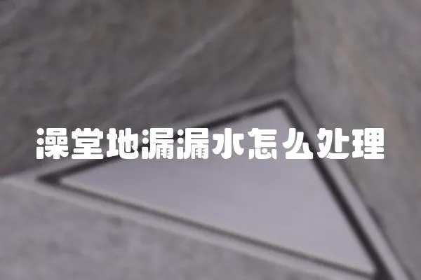 澡堂地漏漏水怎么處理