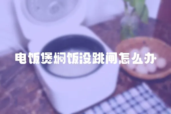 電飯煲燜飯沒跳閘怎么辦