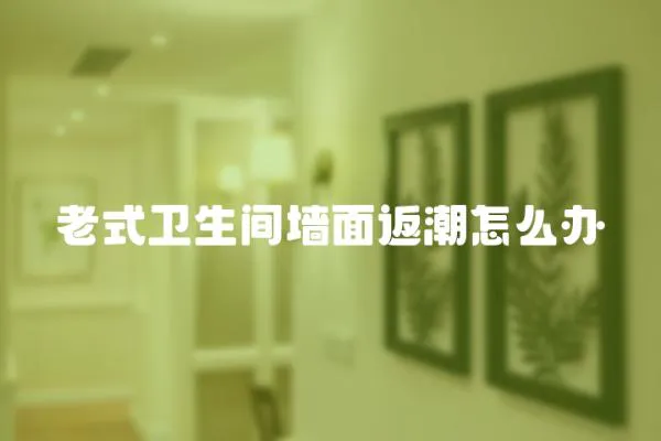 老式衛(wèi)生間墻面返潮怎么辦