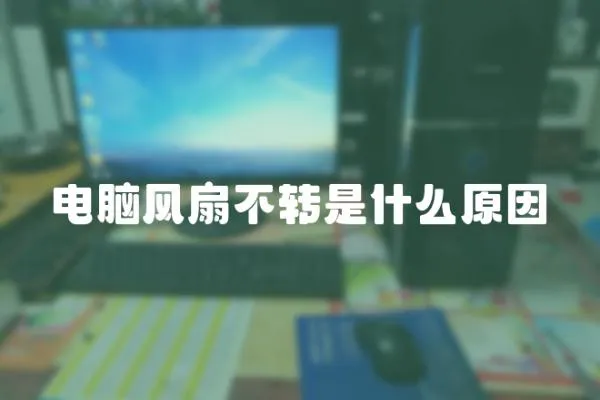 電腦風(fēng)扇不轉(zhuǎn)是什么原因