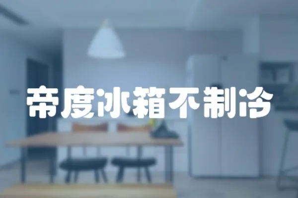 帝度冰箱不制冷