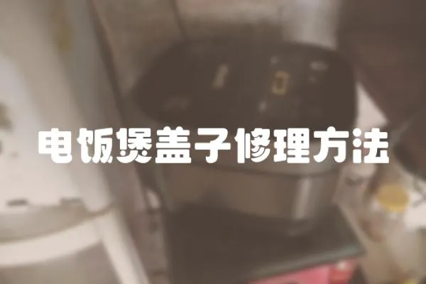 電飯煲蓋子修理方法