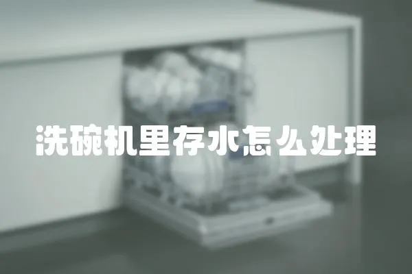 洗碗機里存水怎么處理