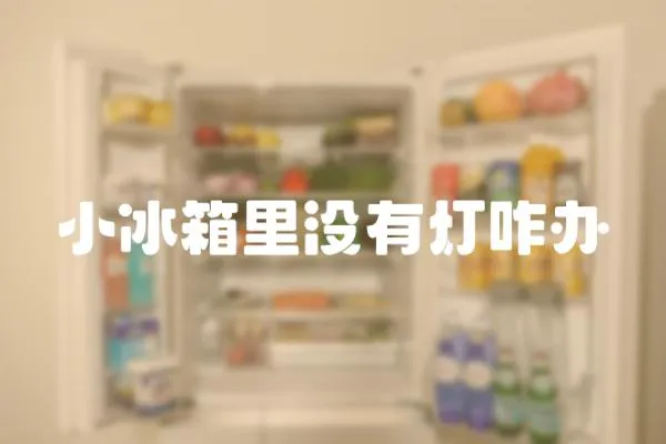 小冰箱里沒有燈咋辦
