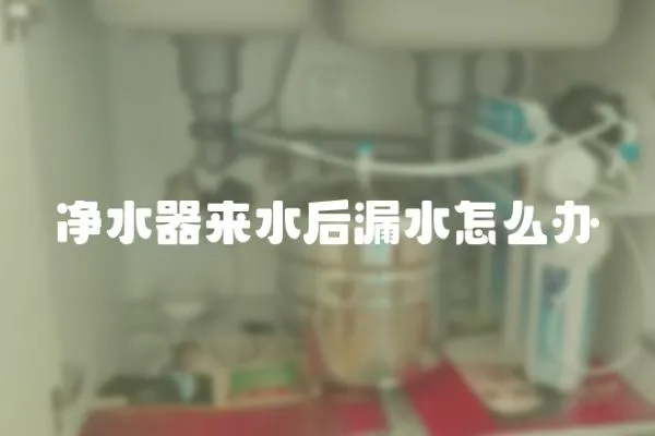 凈水器來水后漏水怎么辦