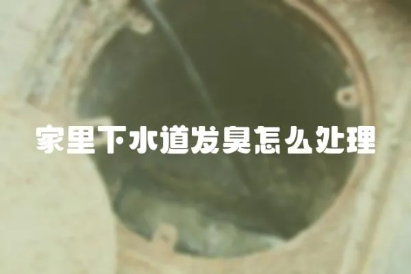 家里下水道發(fā)臭怎么處理