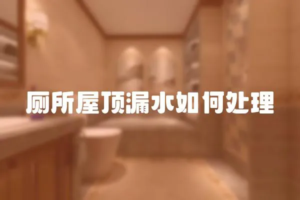 廁所屋頂漏水如何處理