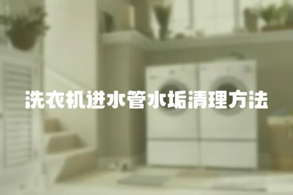 洗衣機進水管水垢清理方法