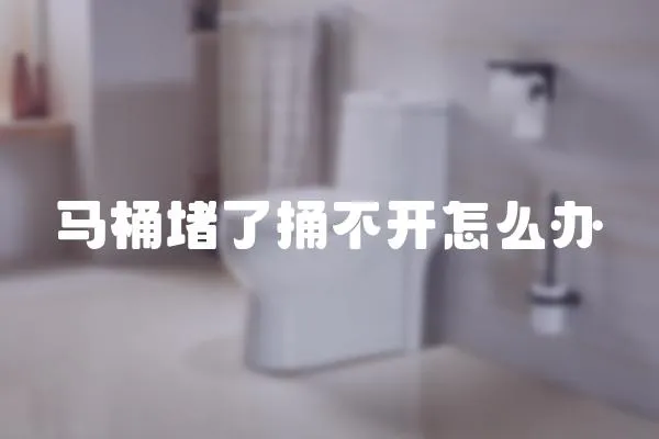 馬桶堵了捅不開怎么辦