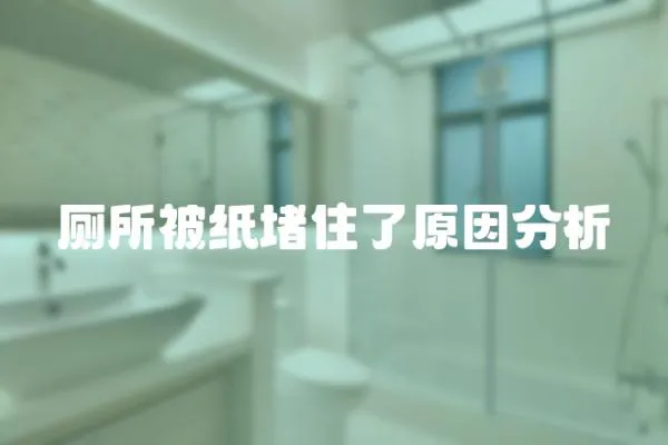 廁所被紙堵住了原因分析