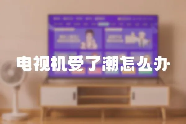 電視機受了潮怎么辦