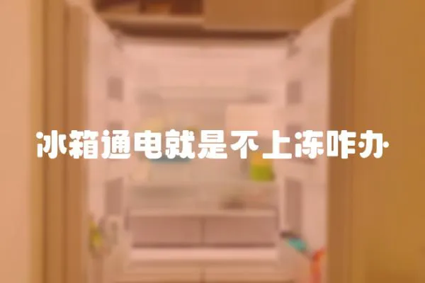 冰箱通電就是不上凍咋辦