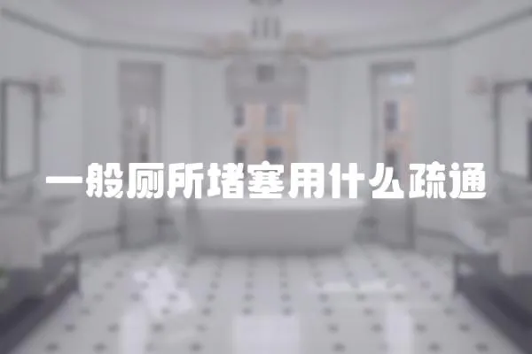 一般廁所堵塞用什么疏通