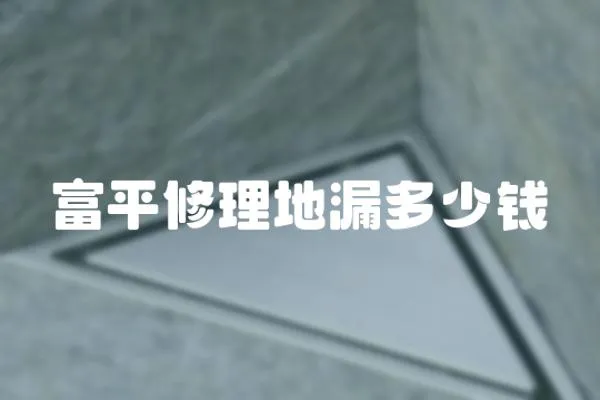 富平修理地漏多少錢