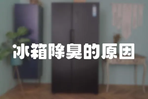 冰箱除臭的原因