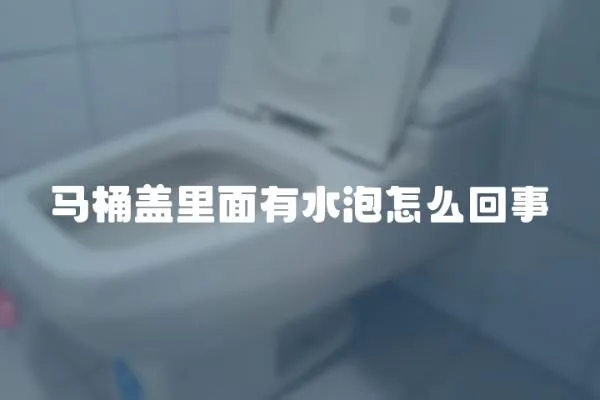 馬桶蓋里面有水泡怎么回事