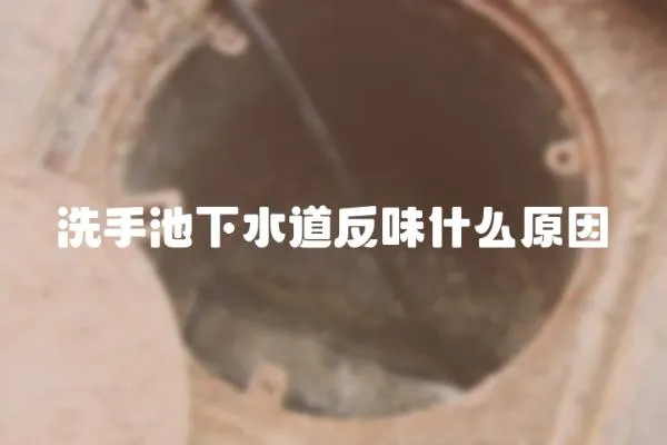 洗手池下水道反味什么原因