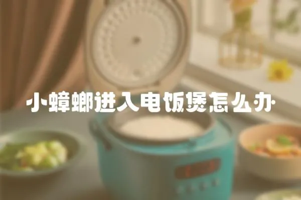 小蟑螂進入電飯煲怎么辦