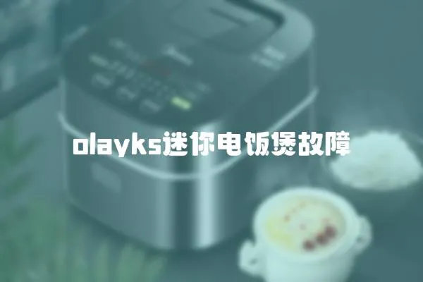 olayks迷你電飯煲故障
