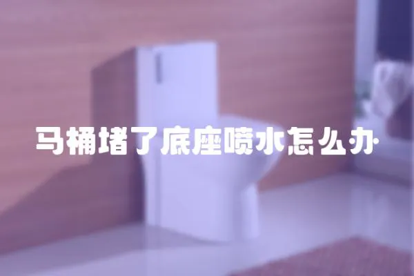 馬桶堵了底座噴水怎么辦