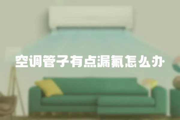 空調管子有點漏氟怎么辦