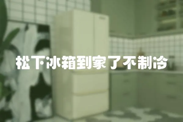 松下冰箱到家了不制冷