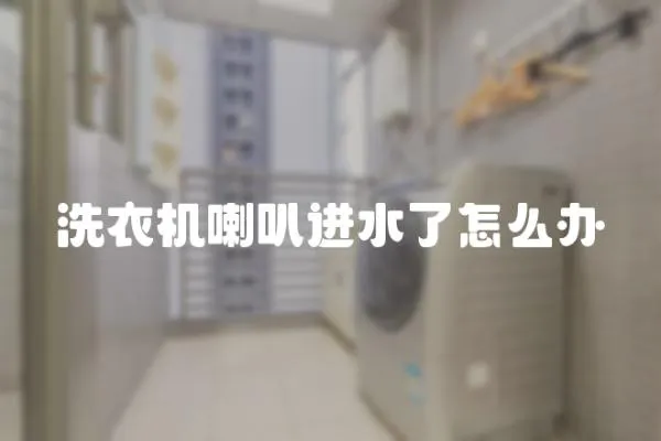 洗衣機喇叭進水了怎么辦