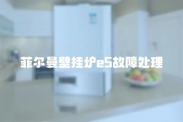 菲爾曼壁掛爐e5故障處理